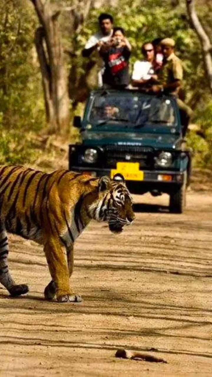 Anamalai Tiger Reserve