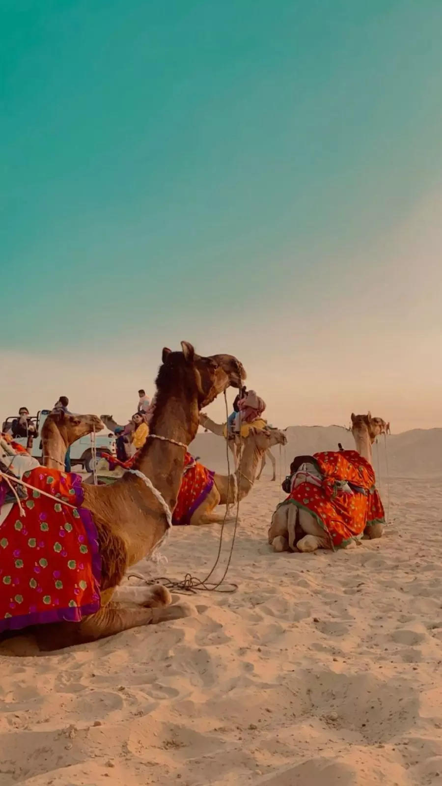 7,351 Jaisalmer Stock Photos, High-Res Pictures, and Images - Getty Images