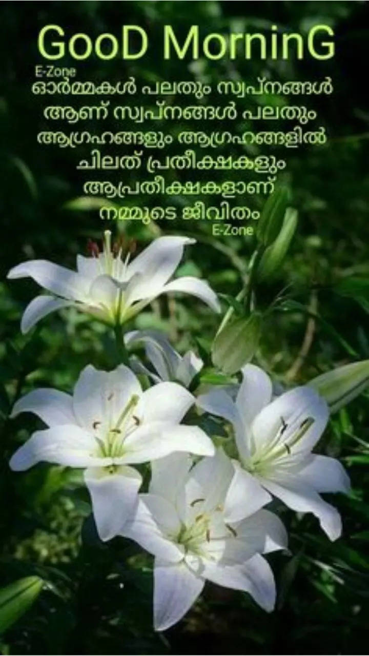 good morning photos with quotes malayalam