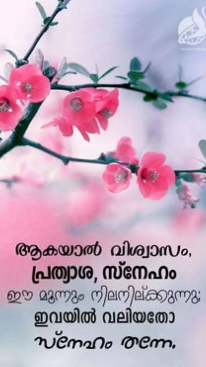 good morning photos with malayalam messages