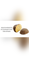 Elephant Foot Yam Health Benefits And Nutrition Facts , 58 OFF