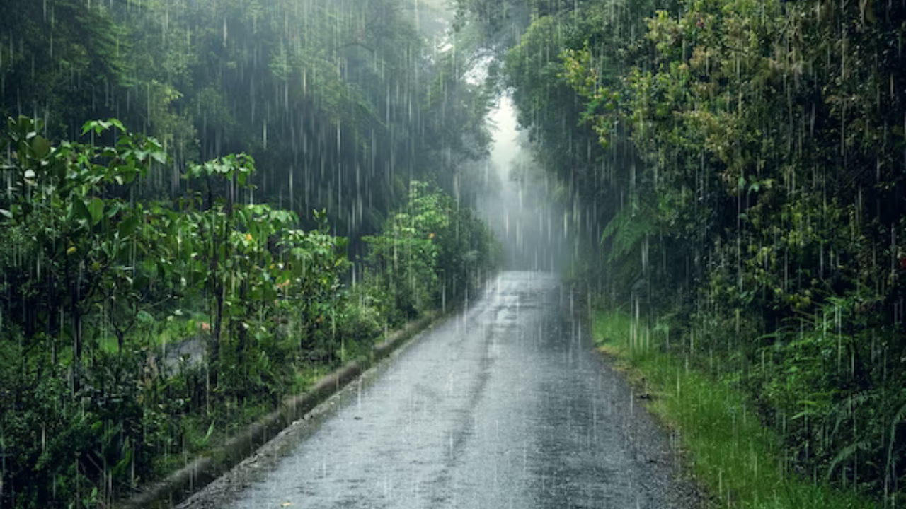Places to visit in monsoon