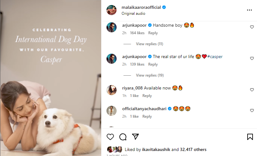 Arjun Kapoor Comment on Malaika Arora Post (Credit - Instagram)
