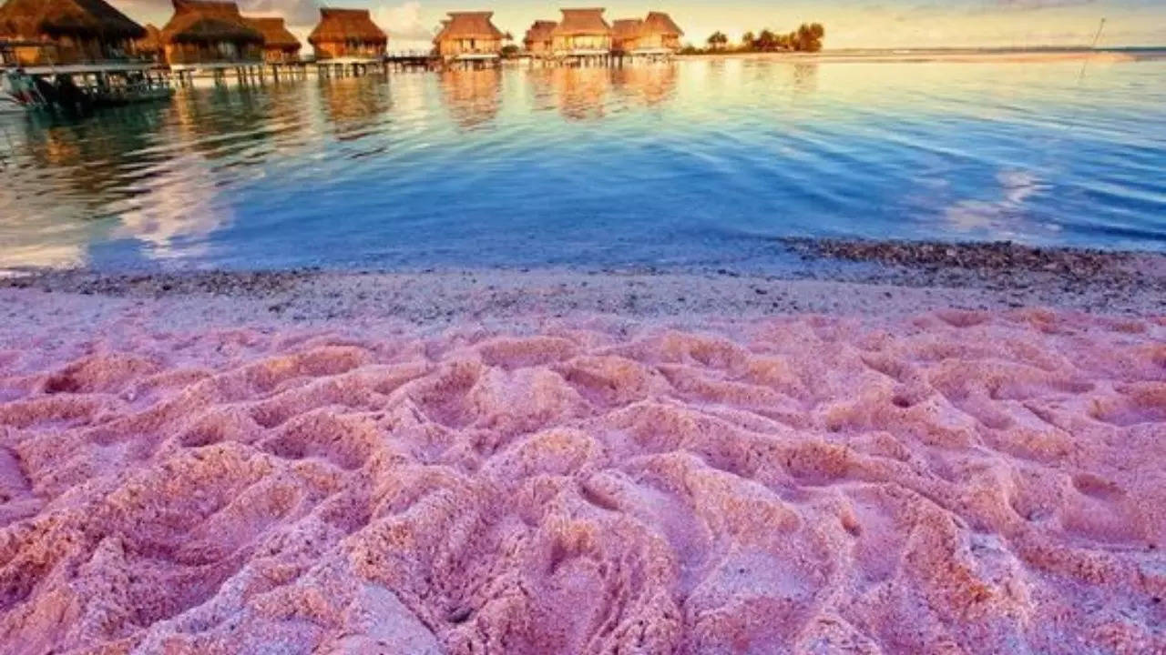 Pink Sand Beach  Bahamas