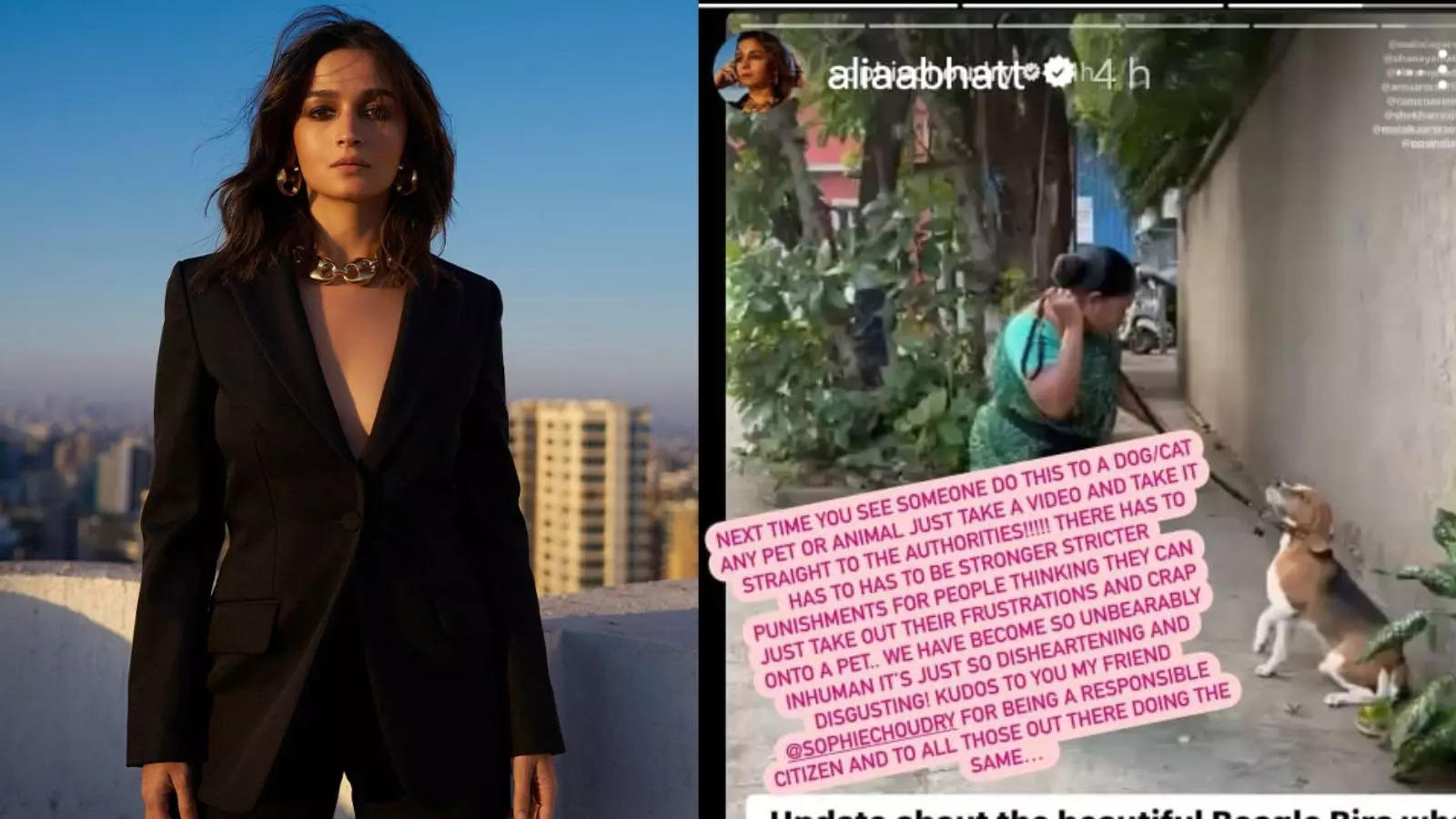 Alia Bhatt Expresses Disgust Over Viral Video Of Maid Hitting Dog With Leash So Disheartening