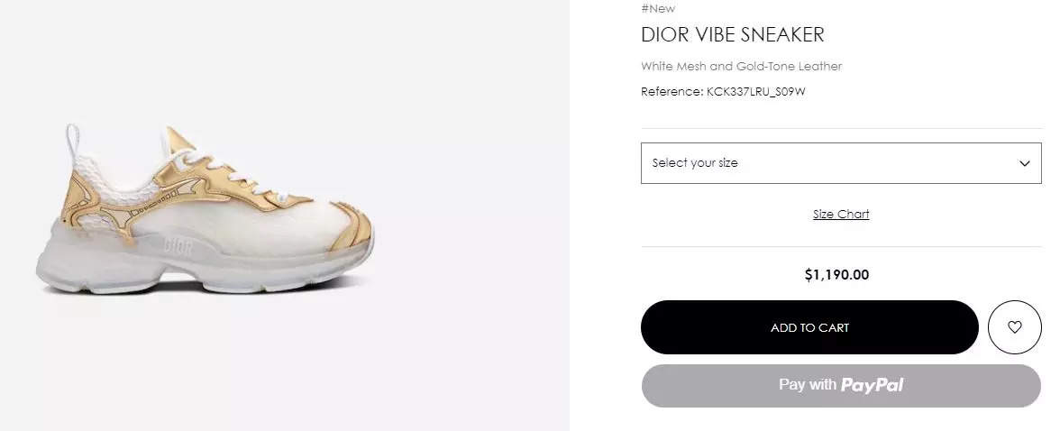 Dior vibe sneakers