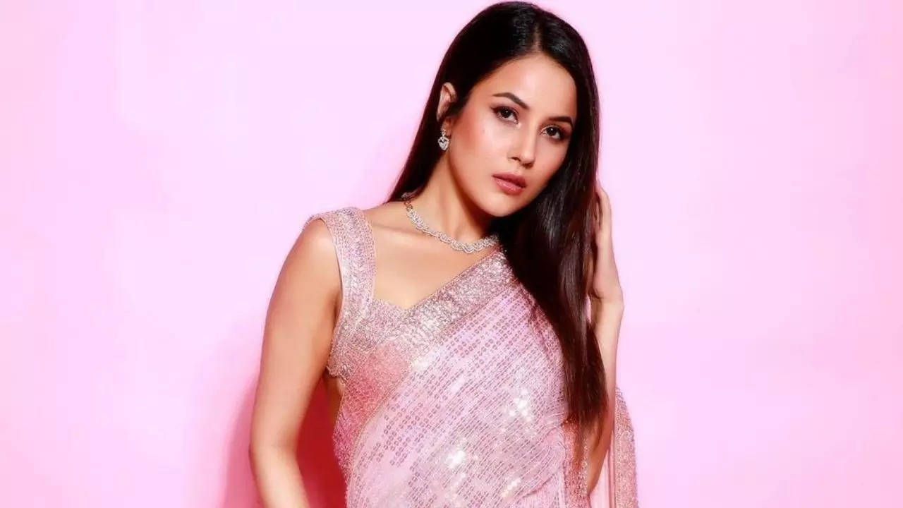 Drop Everything You Are Doing Because Shehnaaz Gill In A Sequin Pink