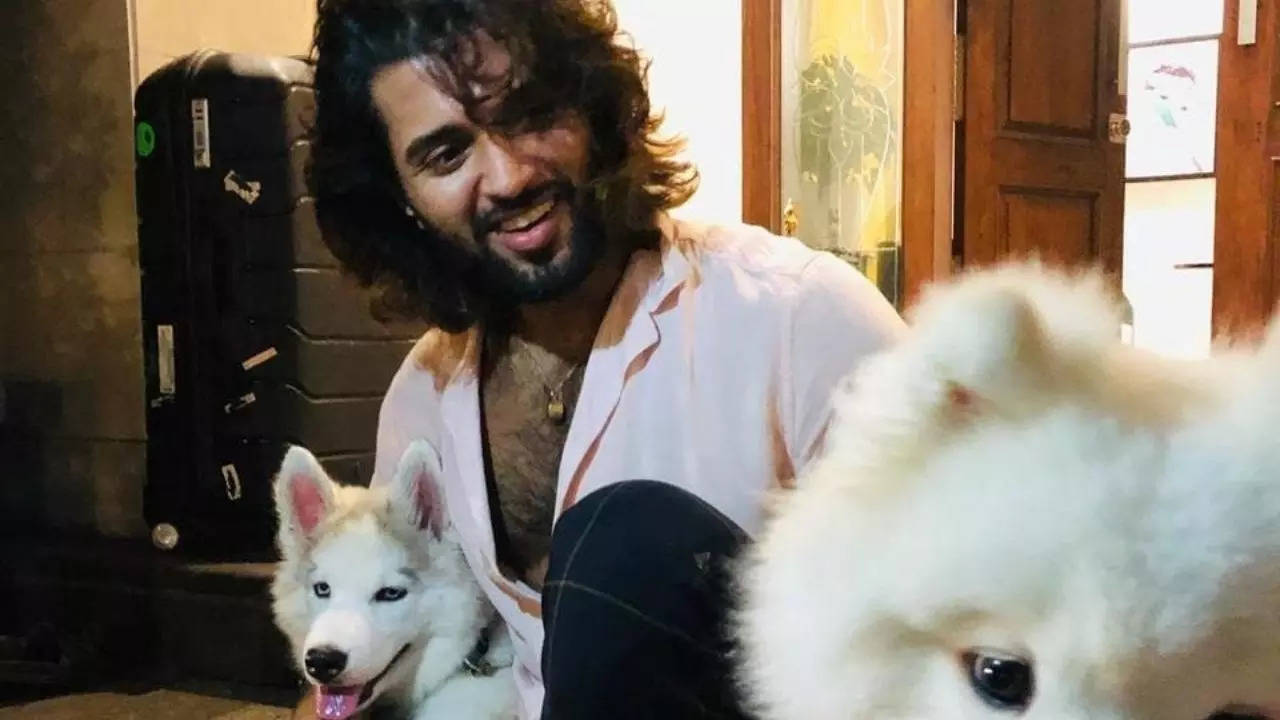 Vijay Devarakonda's Rs 15 crore Hyderabad home boasts of beautiful lawn,  cozy couches, and aesthetic bar, see pics