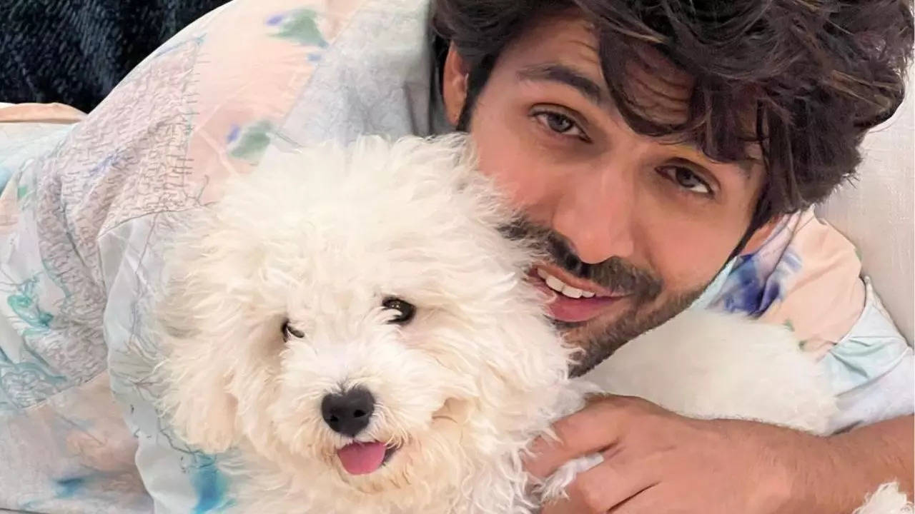 Kartik Aaryan Reveals Why He Named His Pet Dog 'Katori' And We Cannot ...