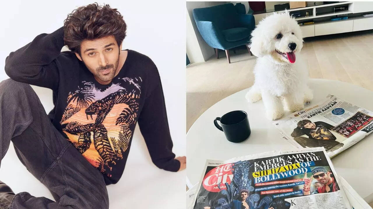 Kartik Aaryan Shares Adorable Picture Of His ‘constant Cheerleader ...