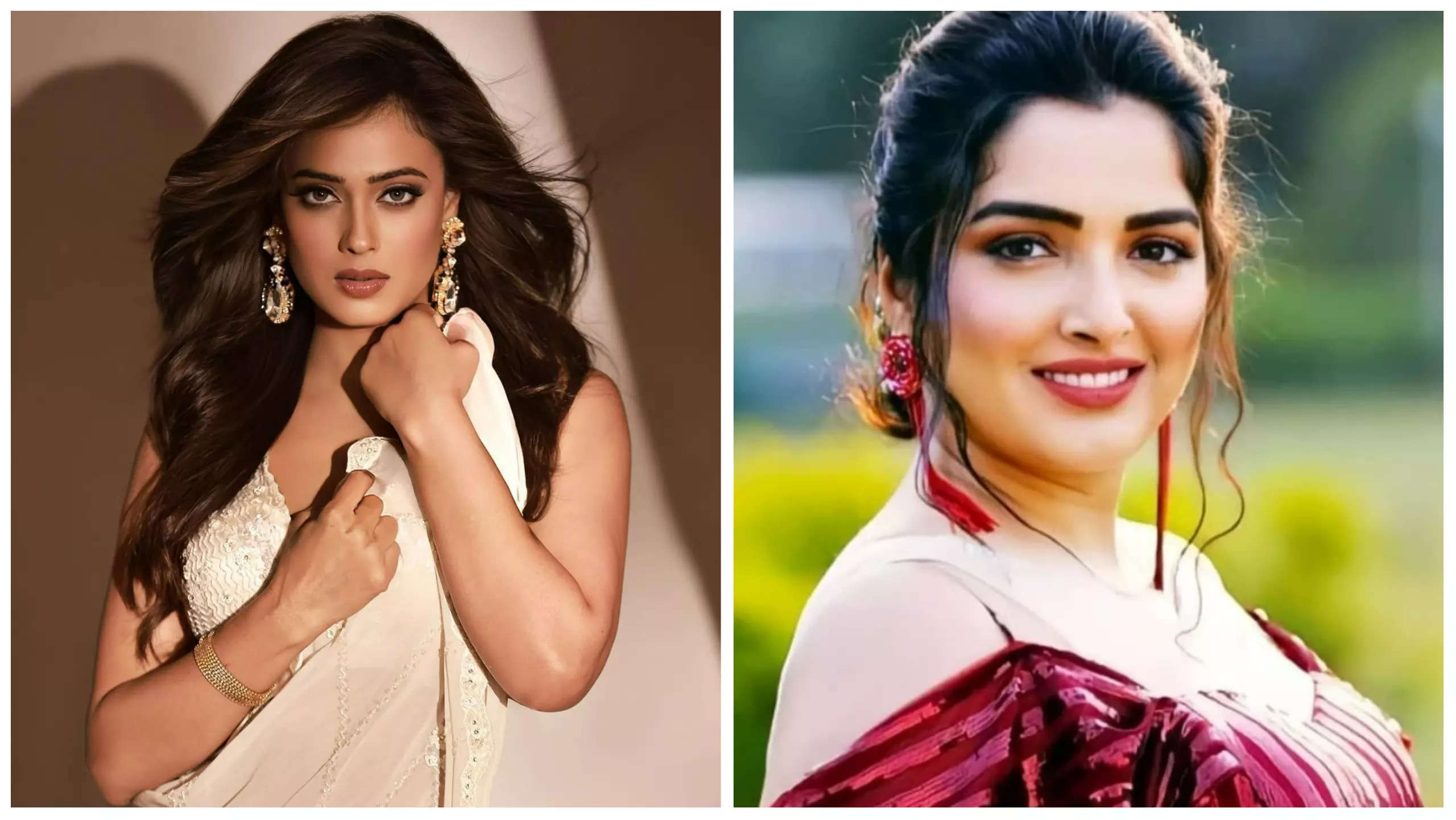 These Tv Actresses Have Worked In Bhojpuri Films भोजपुरी फिल्मों में काम कर चुकी हैं ये Tv