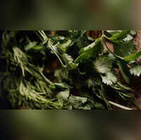 Nutritionist shares 3 benefits of cordiander to combat thyroid, Health