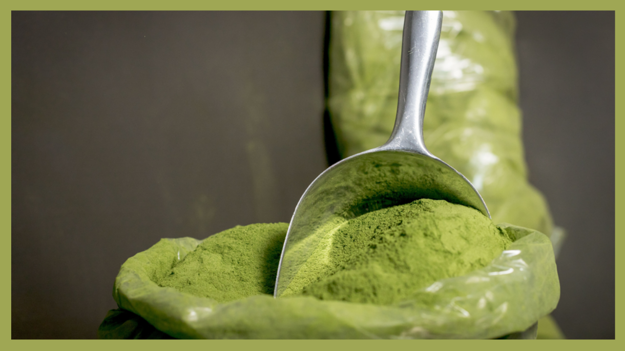 Moringa powder benefits. Pic Credit: Pexels