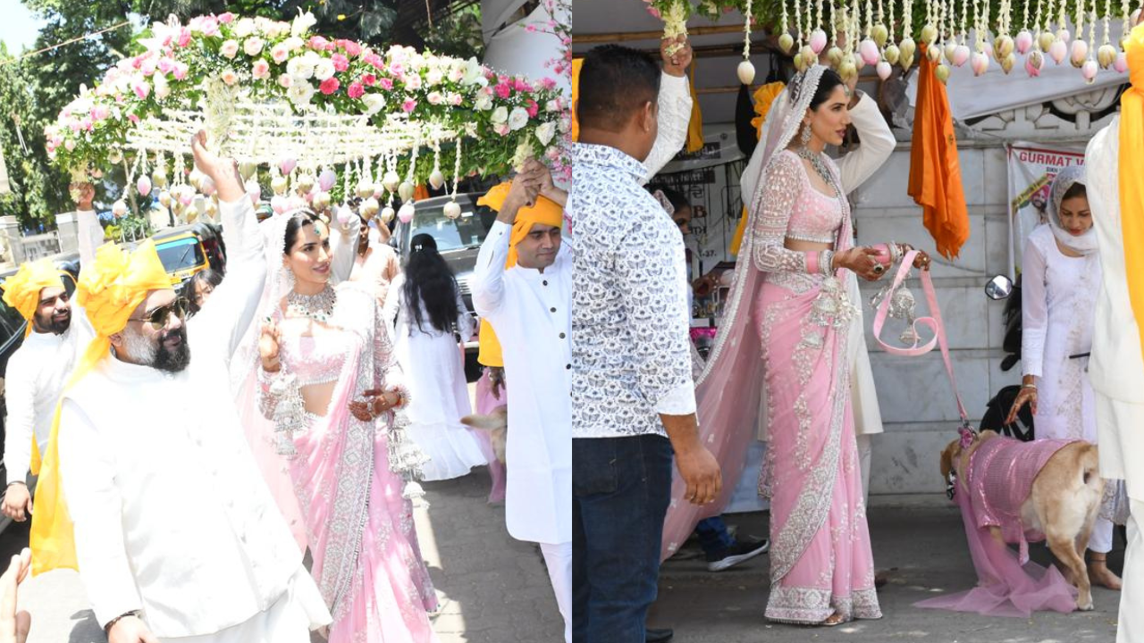 Sonnalli Seygall's Wedding