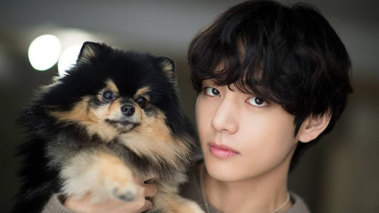 BTS' V Calling Himself Yeontan's 'Appa' Is Absolute Dog-Dad Goals