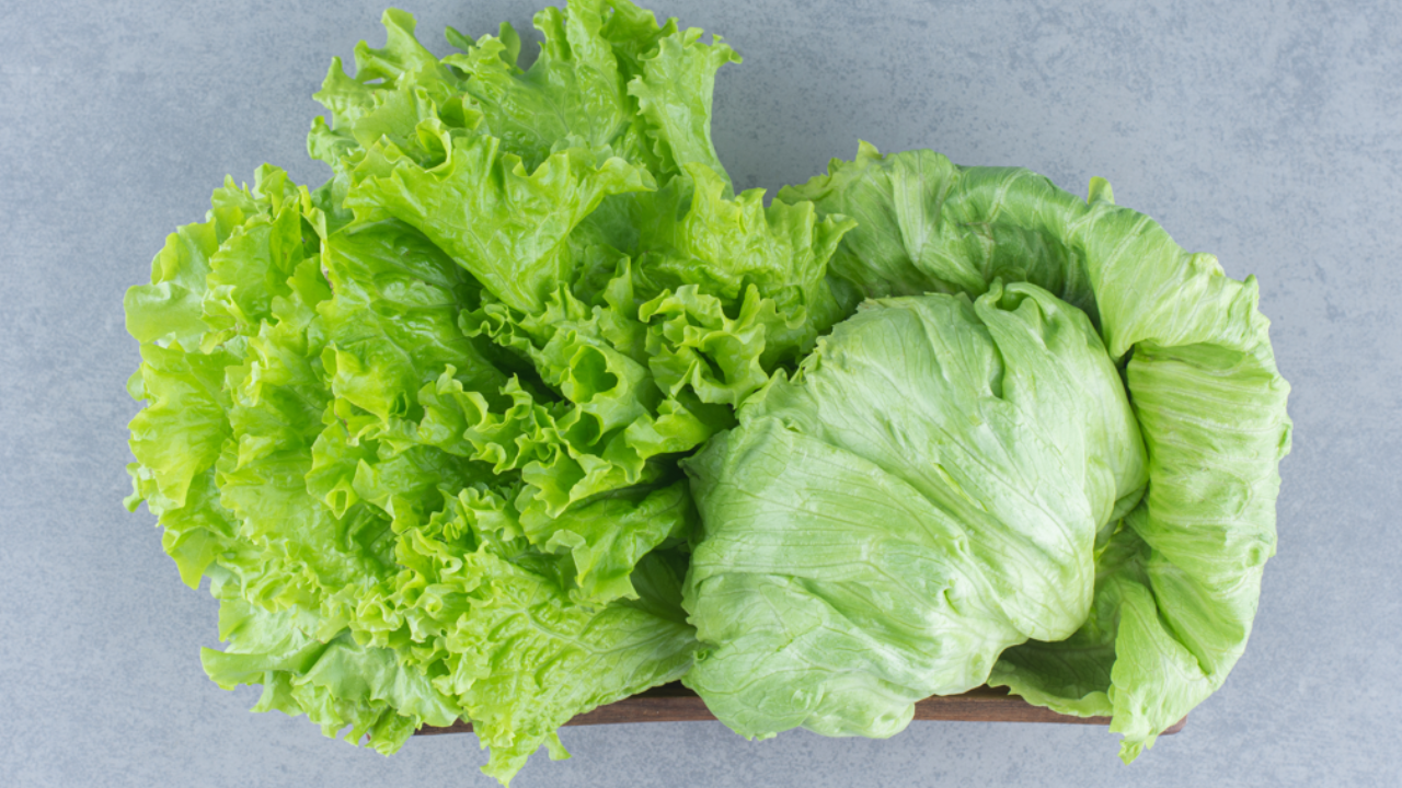 Should you consume green leafy vegetables during the monsoon. Pic Credit: Freepik