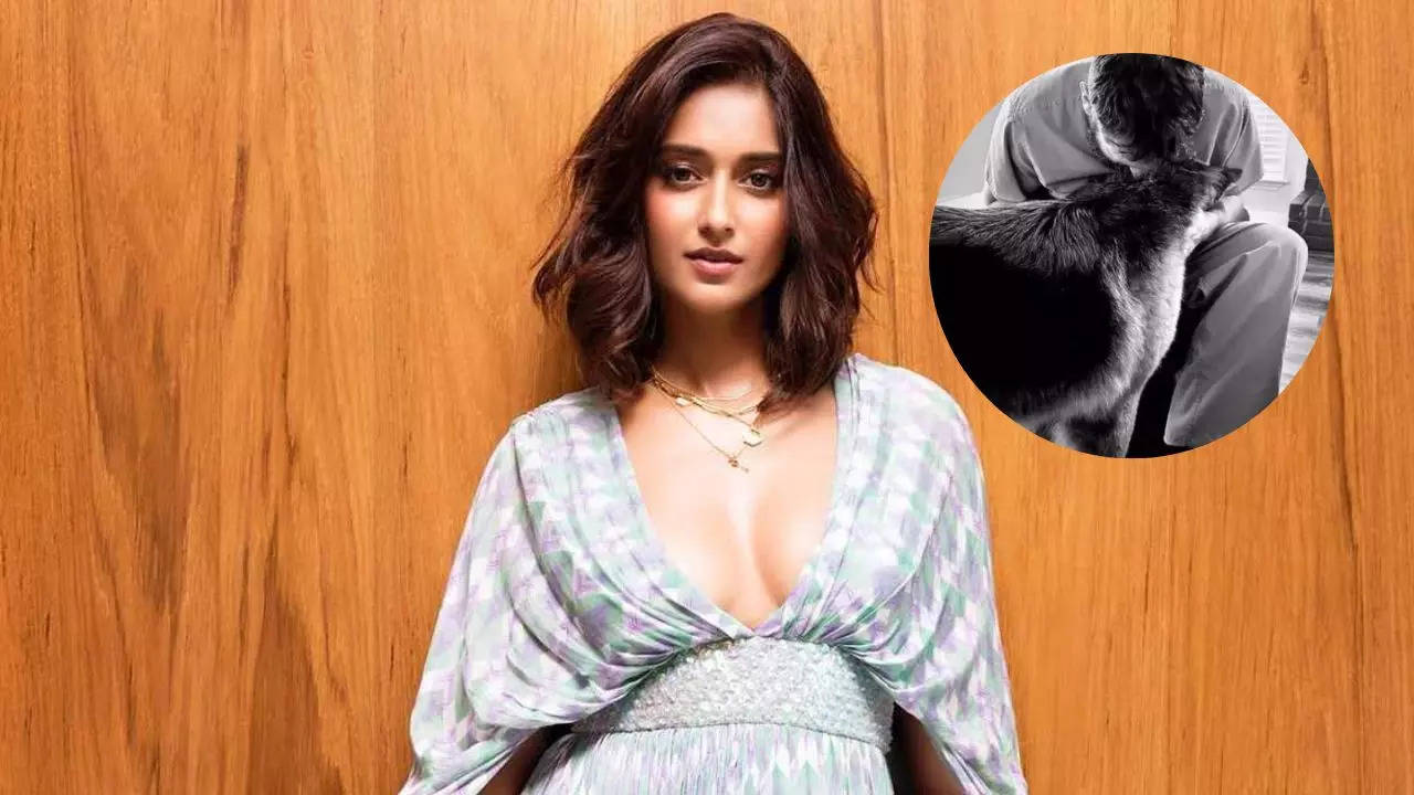 Ileana D'cruz shares another glimpse of mystery man