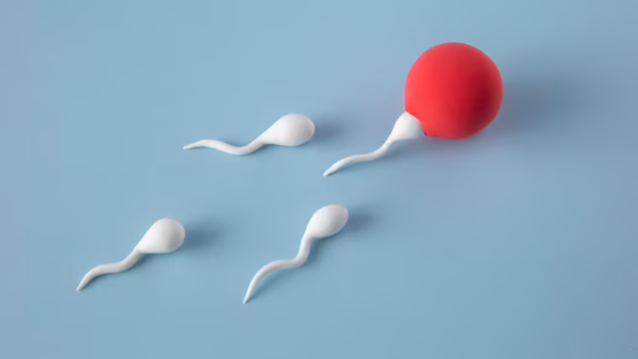 Rules To Follow To Boost Sperm Health