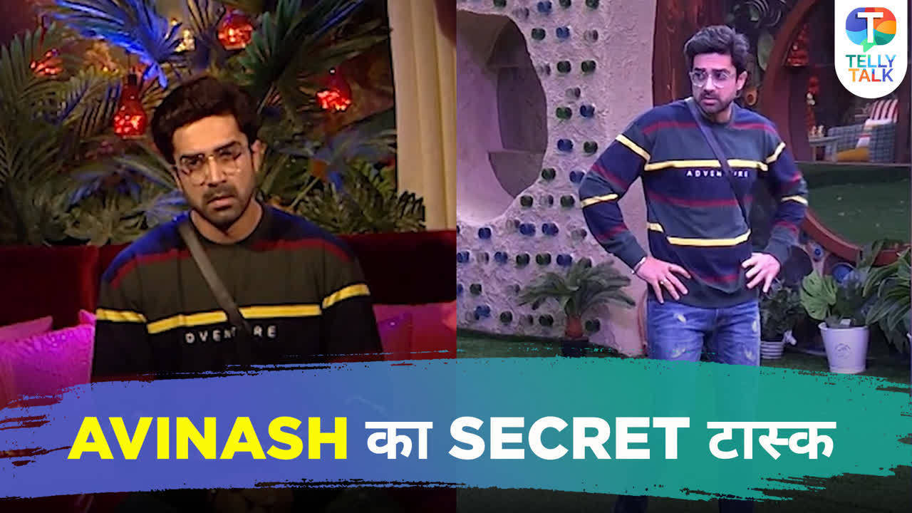 Bigg Boss OTT 2 Update: Avinash Sachdev Gets A Secret Task To Dethrone ...