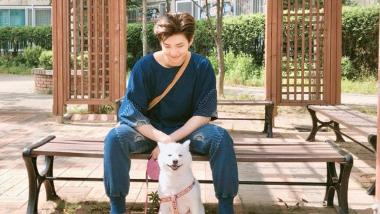 BTS star RM's dog passes away