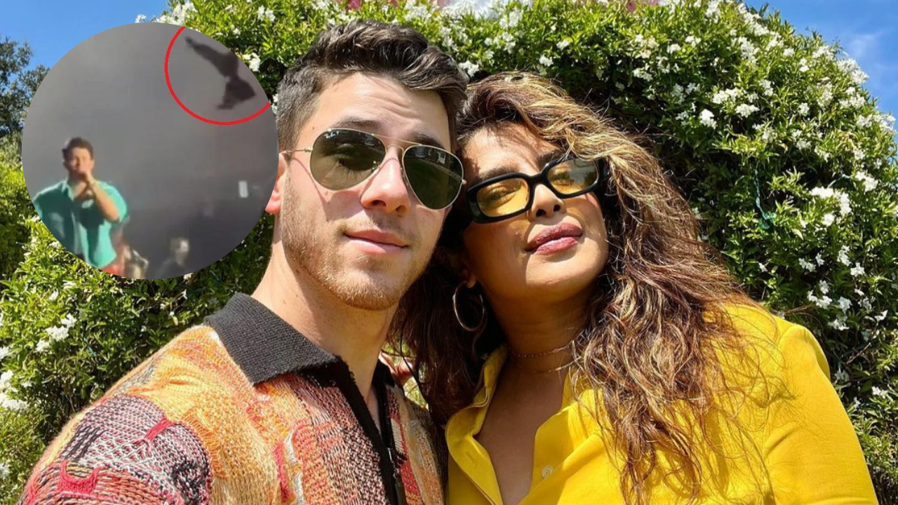Jonas Brothers' NYC Concert Fiasco! Fan THROWS Bra At Nick; Here's How He  Reacted, Celebrity News