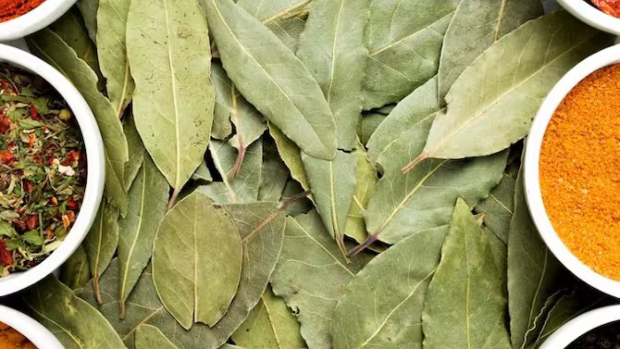 Use bay leaves in these 5 ways, flour will remove insects तेज पत्ते को