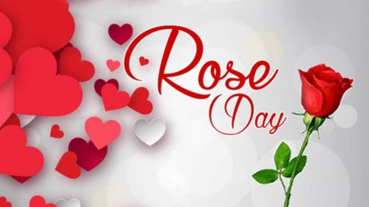 Rose Day 2024 Wishes, Quotes, Whatsapp Status, Messages and Images To