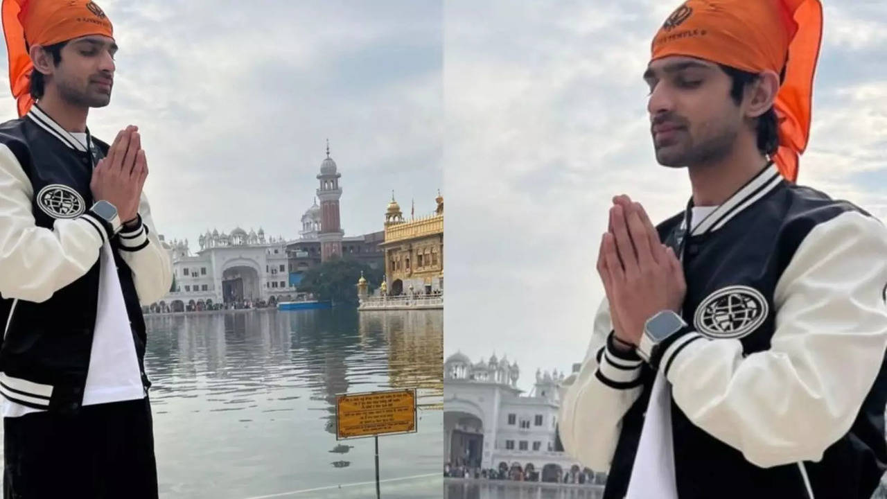 Bigg Boss 17 Fame Abhishek Kumar Seeks Blessings At The Golden Temple - PIC