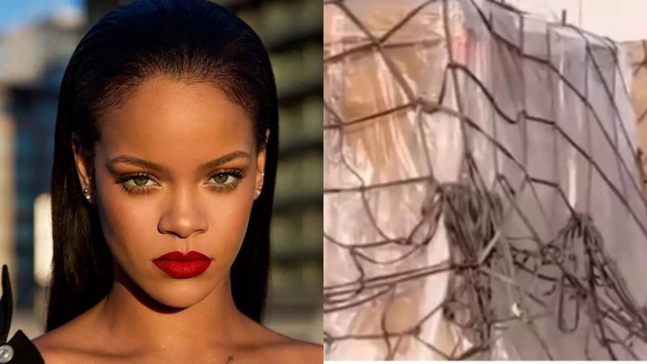 Rihanna Jamnagar Luggage: Rihanna Hits Back At Troll Over Her