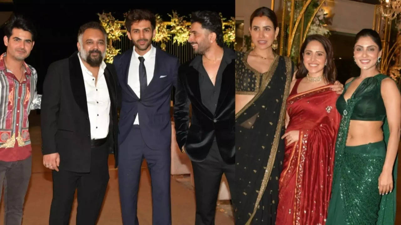 Pyaar Ka Punchnama 2 Cast Reunites At Sunny Singh's Sister's Wedding Reception