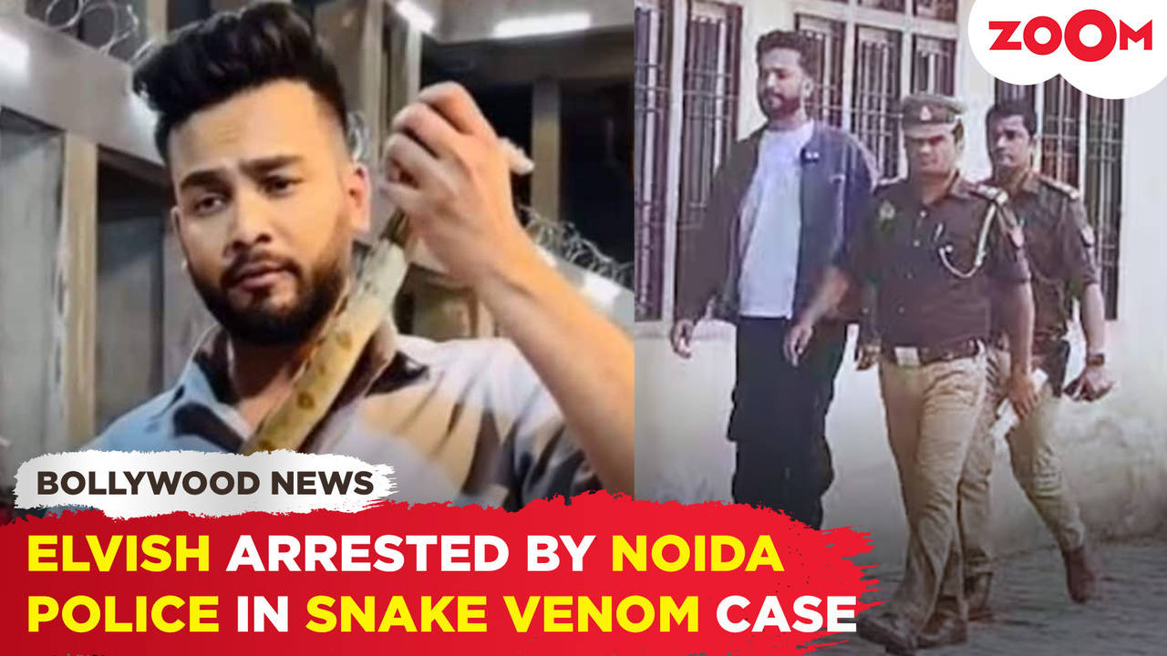 Elvish Yadav faces ARREST in Noida Snake Venom Case, placed in 14-day ...