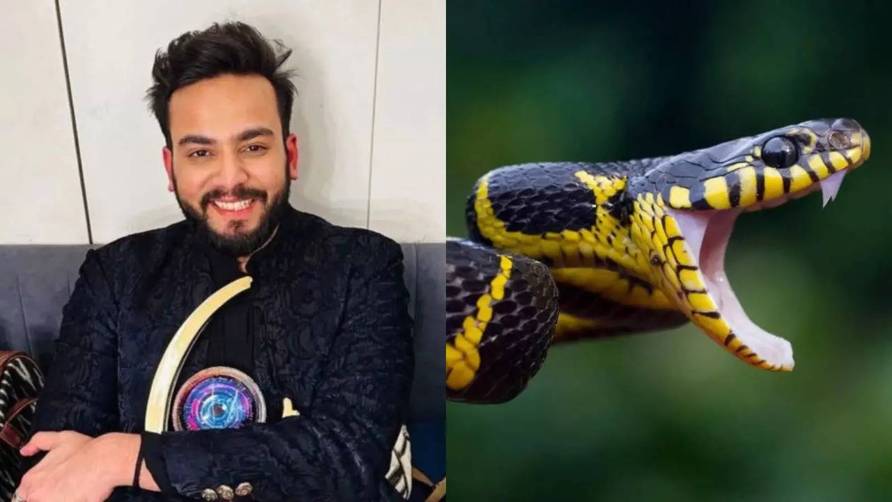 What Is Snake Venom and How Is It Used In Rave Parties?