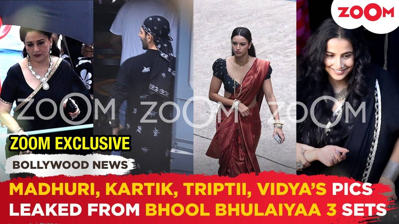 Madhuri Dixit, Kartik Aaryan, Tripti Dimri & Vidya Spotted On Bhool ...