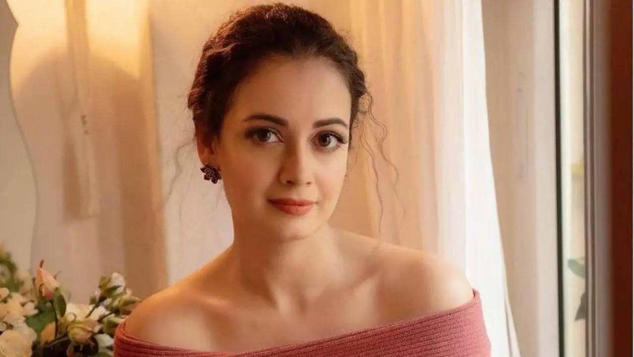 Dia Mirza lifestyle