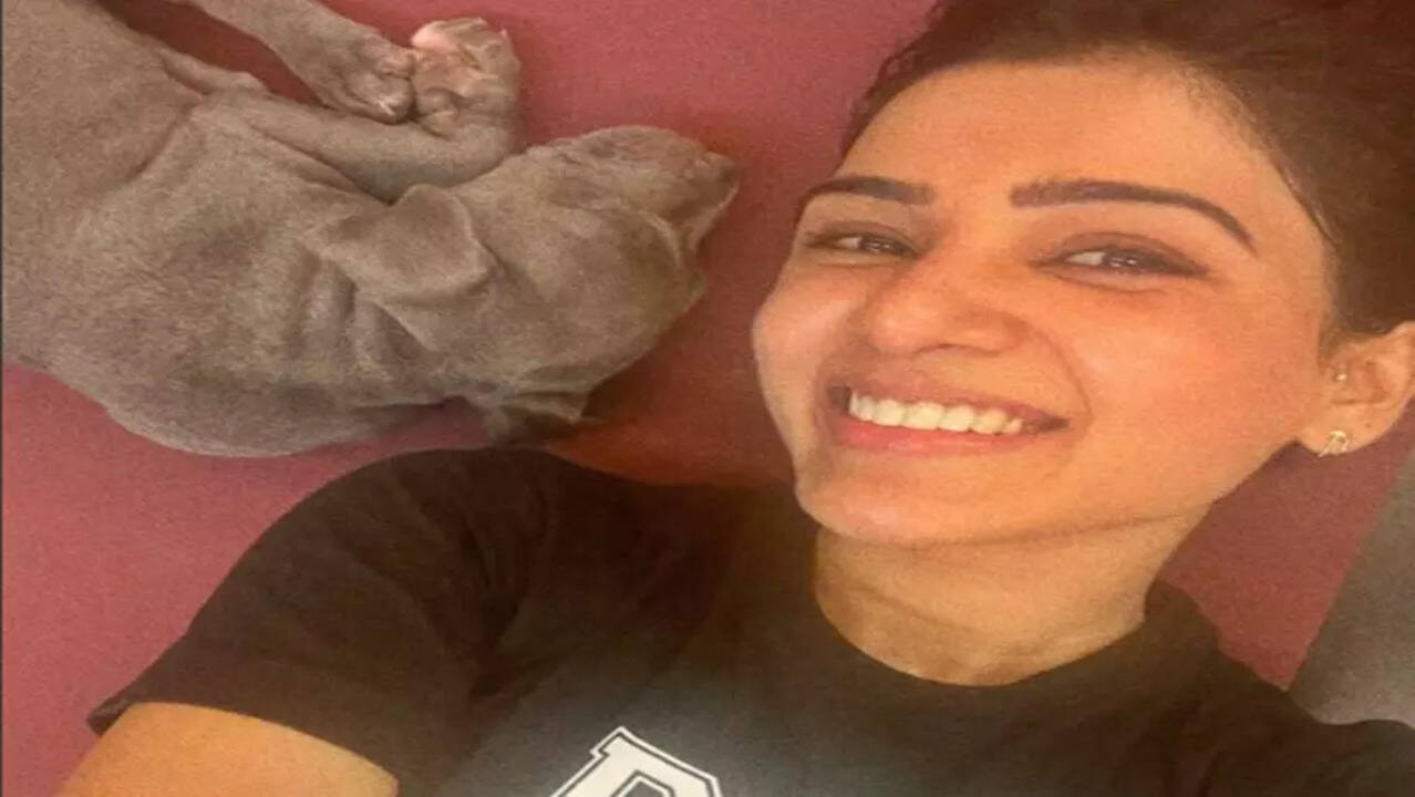 Samantha Samantha's dog Saasha turns 4 months old, she writes 'already