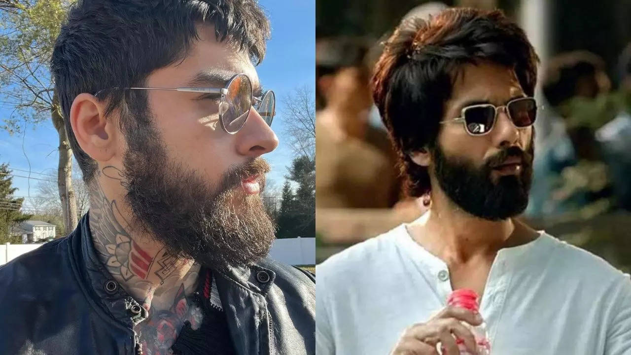 Kabir Singh - Zayn Malik