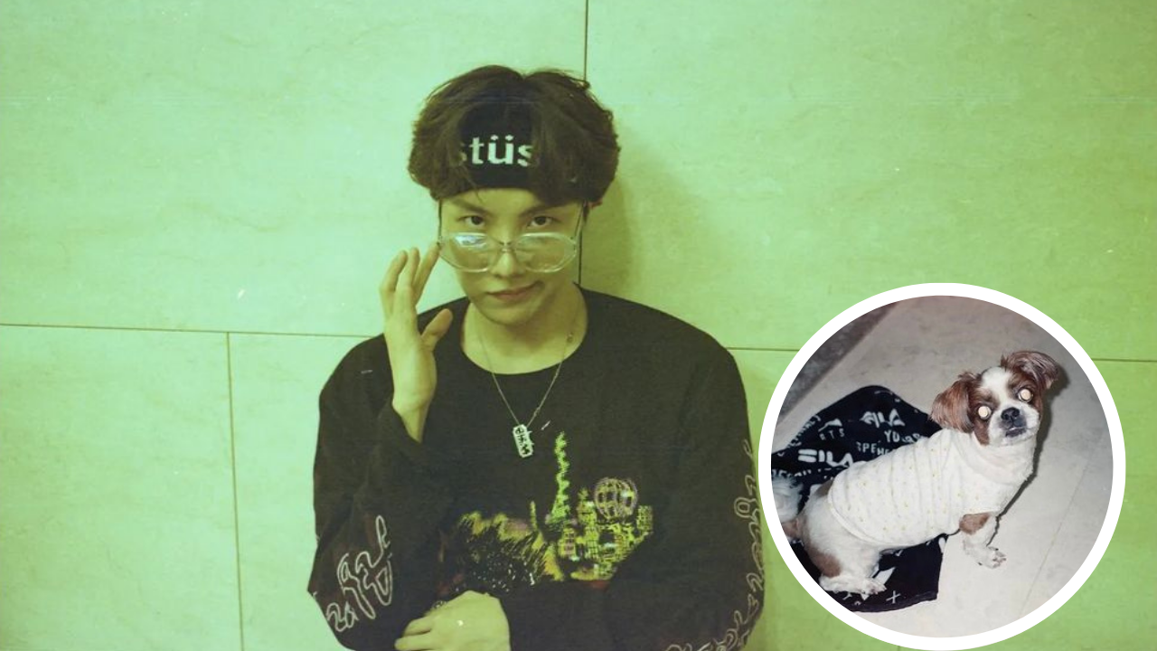 BTS J-Hope's dog Mickey makes Instagram debut