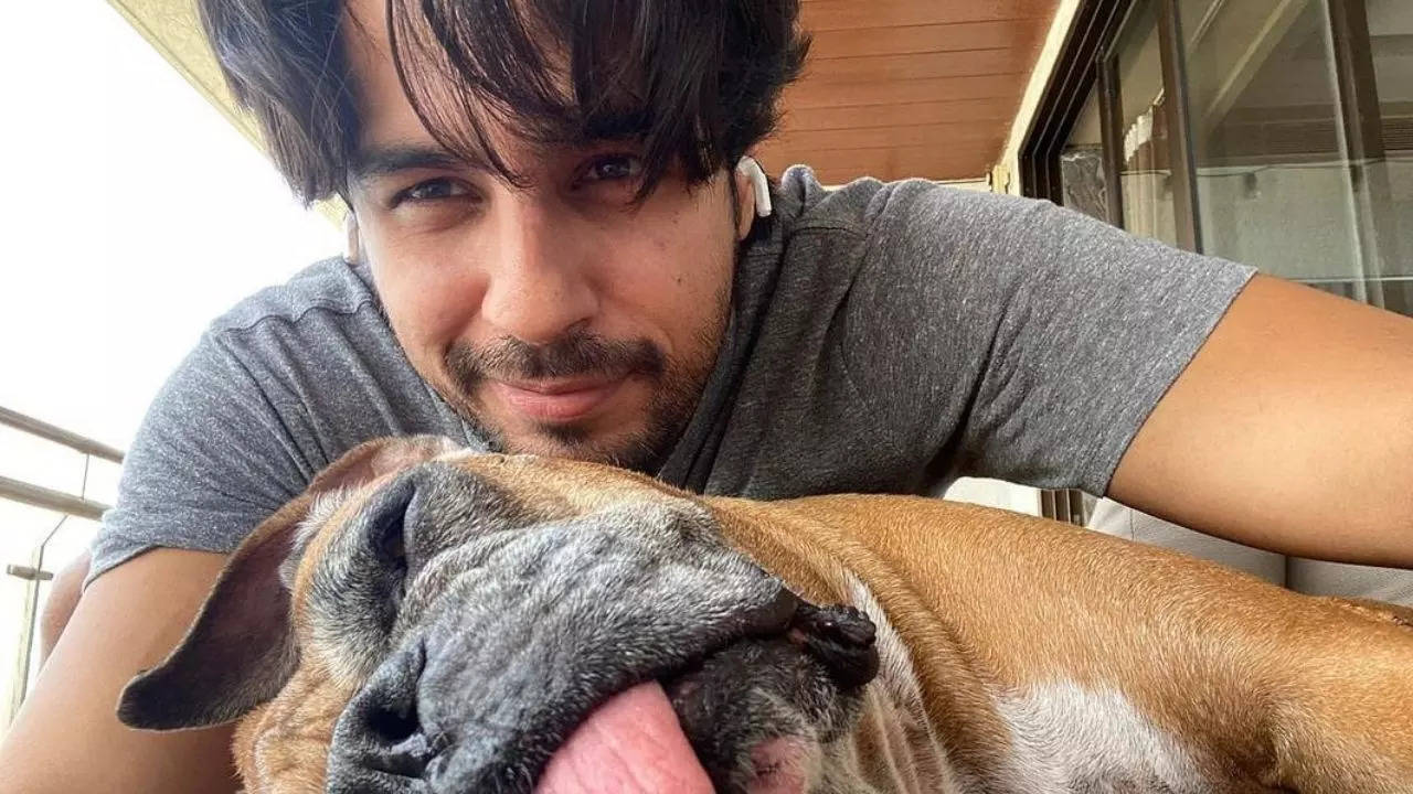 Siddharth with dog Oscar