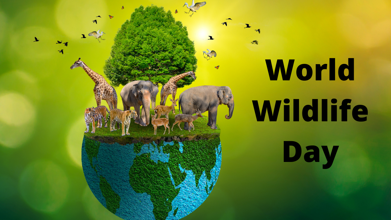 world wildlife day 2022: theme, quotes and wishes to share on march 3