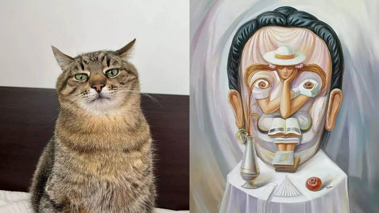 Top viral trends of the day: Cat raising Rs 7.6 lakh for Ukrainian furry friends, optical illusion revealing your weaknesses, and more