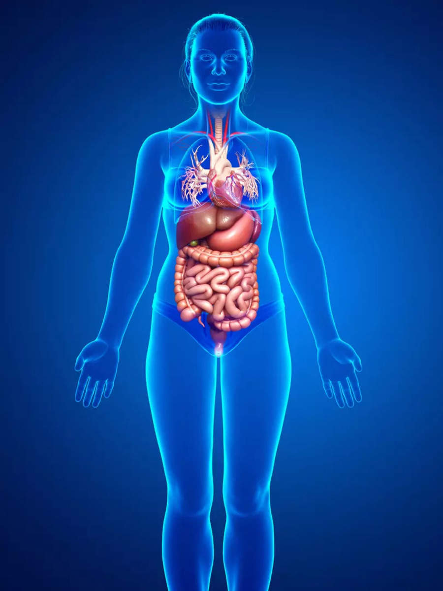 Your gut matters! Tips to boost intestinal health | Times Now