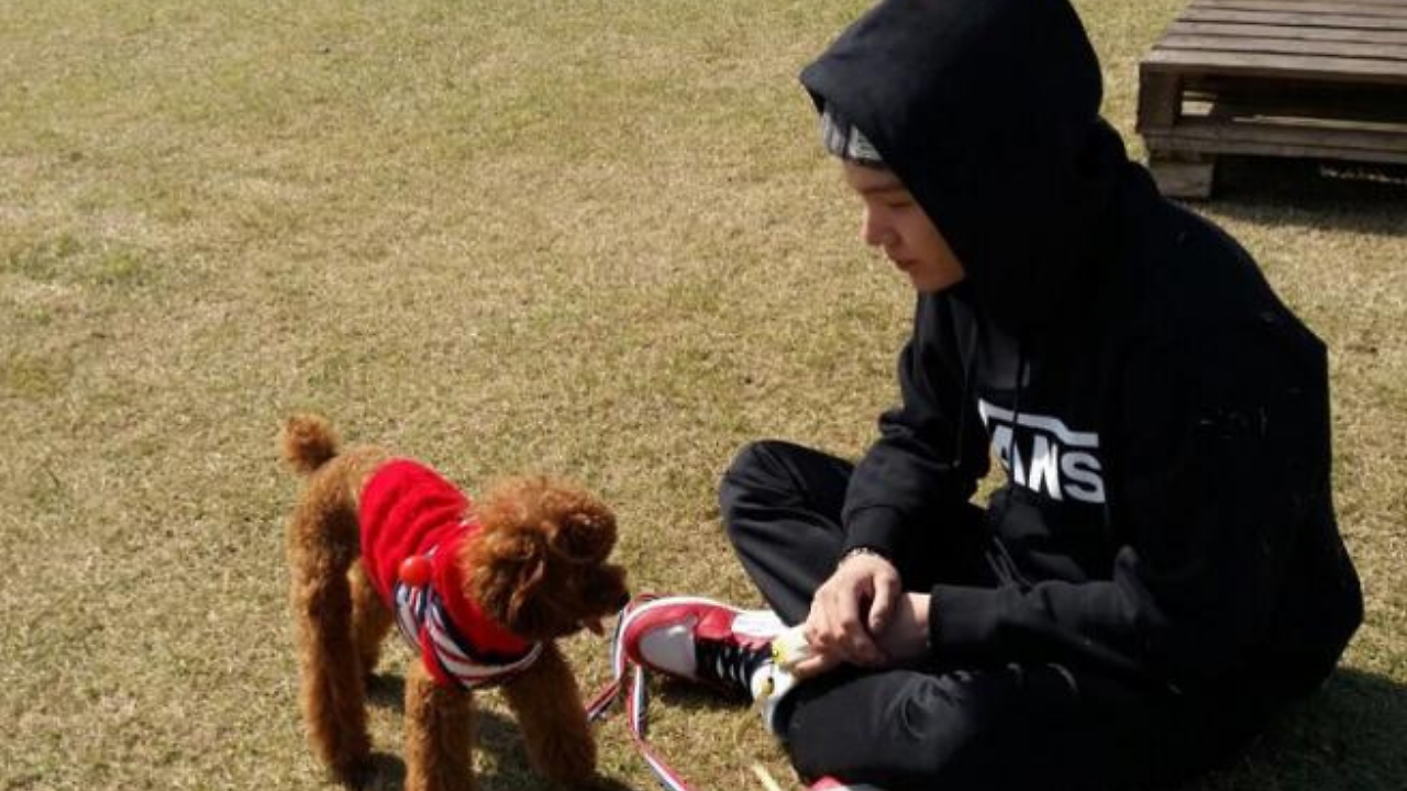 BTS' Suga throws a birthday bash for doggo Holly; here's why a little ...
