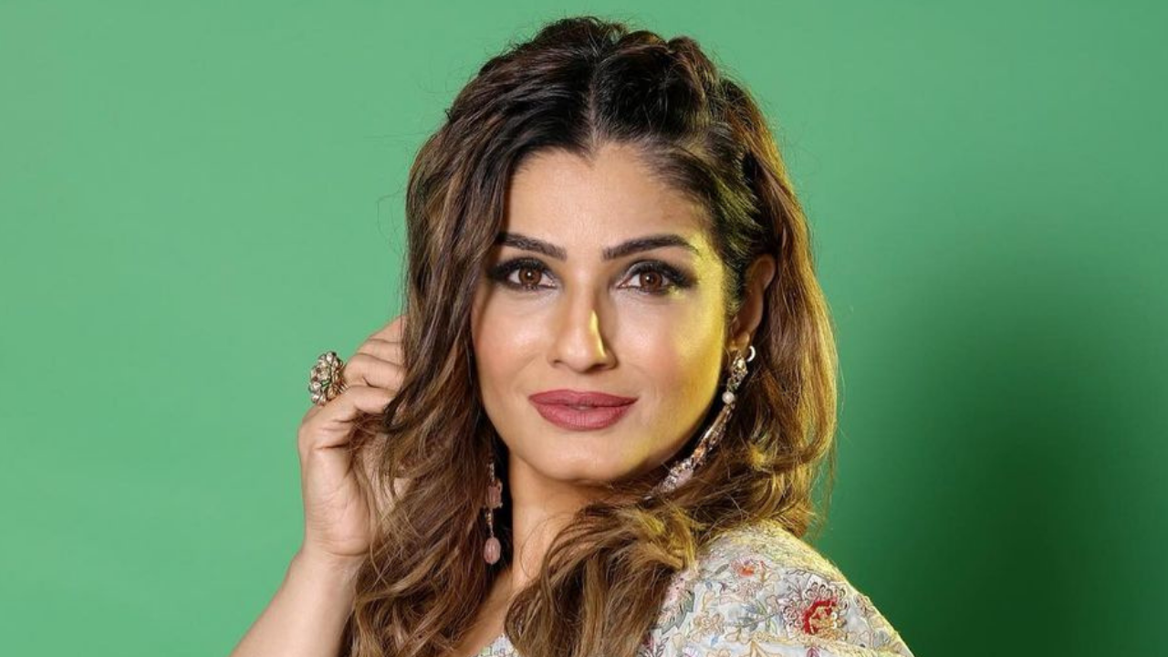 Raveena Tandon reacts to Hindi vs South films debate, says 'our films