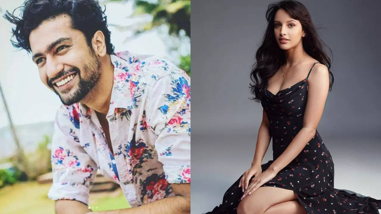 Vicky Kaushal and Tripti Dimri