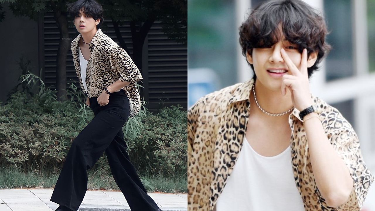 BTS's V Turns Heads At The Airport With His Visuals, But His Bag