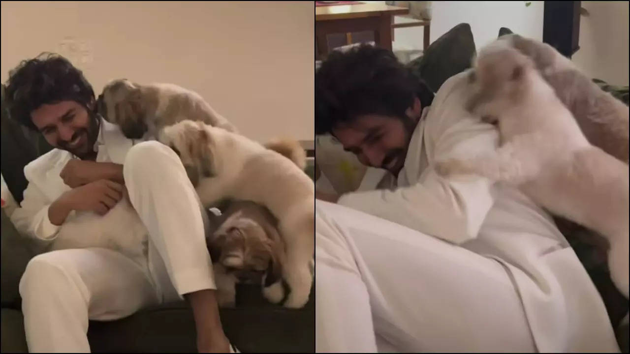 Kartik Aaryan playing with his furry friends is the cutest thing you will see today