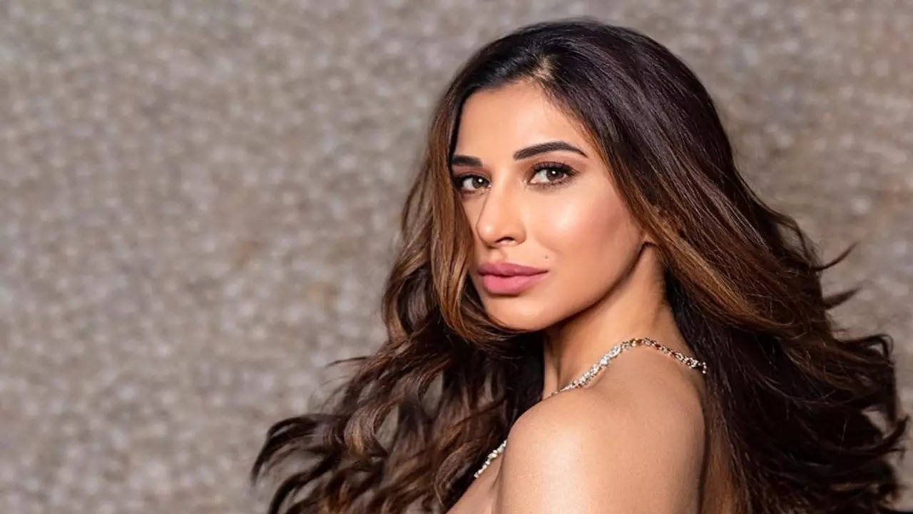 Ek Pardesi fame Sophie Choudry opens up on facing ageism online: People tell me to act my age...