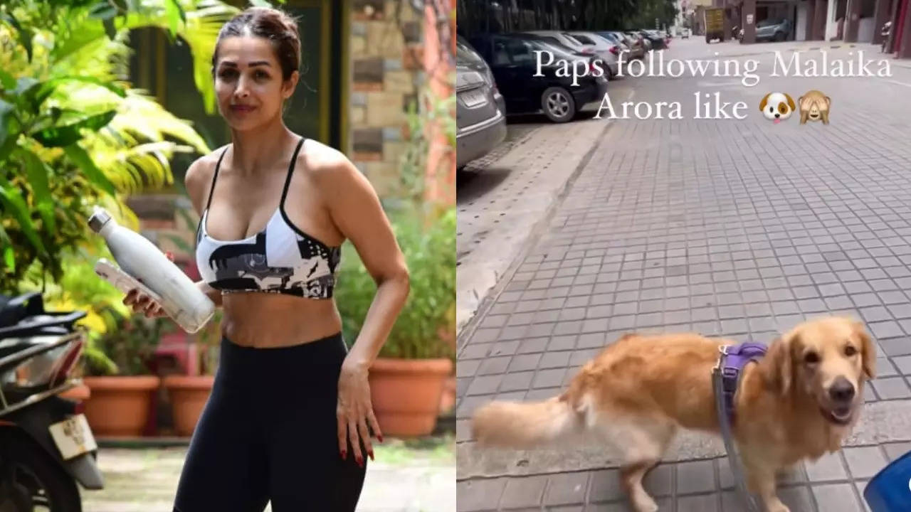 Malaika Arora REACTS to video of dog imitating her paparazzi walk - see inside