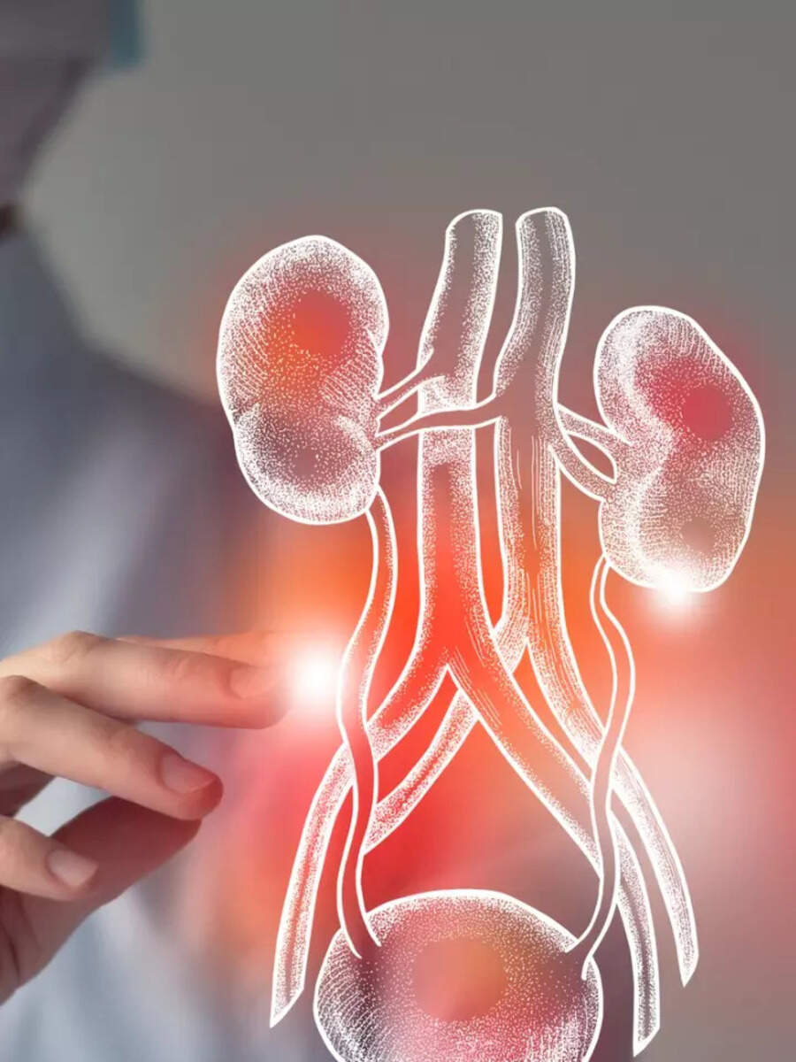 Habits that are harmful to your kidneys Times Now