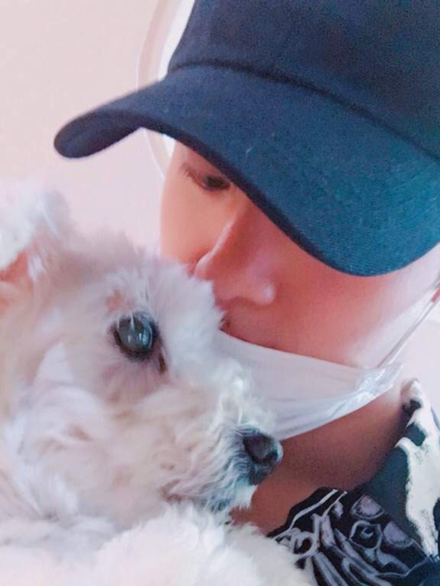 BTS star Jin's most adorable pics with his pets | Zoom TV